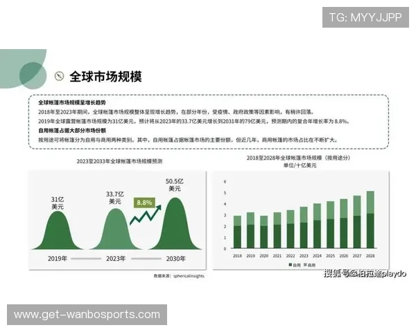 意甲球队全景数据解析与赛季表现趋势深度洞察